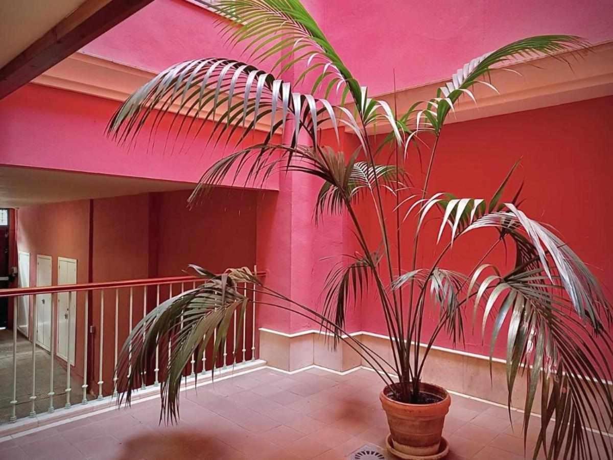 Apartamento Sauceda 7 Siviglia Esterno foto